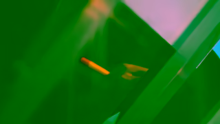 Seneca Polytechnic Seneca Grads 15s Daryna Ad Commercial Brand Imagery Photoshoot 1