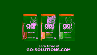 Go! Solutions Pet Food GoSolutions15 16x9 Willow English Ad Commercial Brand Imagery Photoshoot 2