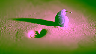 PDPAOLA PDPAOLA I Aqua collection Ad Commercial Brand Imagery Photoshoot 1