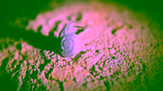 PDPAOLA PDPAOLA I Aqua collection Ad Commercial Brand Imagery Photoshoot 2