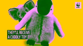 WWF Adopt An Animal With WWF Ad Commercial Brand Imagery Photoshoot 0