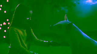 Animals Australia Join the evolution help create a kinder world Ad Commercial Brand Imagery Photoshoot 2