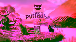 Whiskas WHISKAS Pouch A Pouch of Purradise 15s ENG Ad Commercial Brand Imagery Photoshoot 2