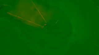 Feel Slovenia INNOVATION EXPRESSION CULTURAL VIBRANCY MY WAY Ad Commercial Brand Imagery Photoshoot 1