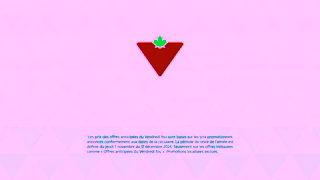 Canadian Tire Solde davant le Vendredi fou Ad Commercial Brand Imagery Photoshoot 2