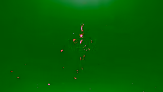 IRON IMPERIUM I will Prevail Unleash the Warrior Within with Iron Imperium Ad Commercial Brand Imagery Photoshoot 2