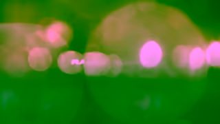 Range Rover Range Rover Evoque Connected Convenience Ad Commercial Brand Imagery Photoshoot 2