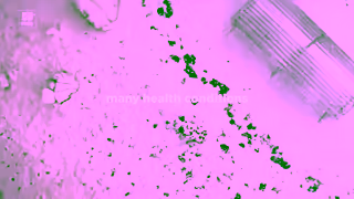 Hill's Many symptoms hide in plain sight Ad Commercial Brand Imagery Photoshoot 0