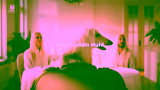 Hill's Many symptoms hide in plain sight Ad Commercial Brand Imagery Photoshoot 1