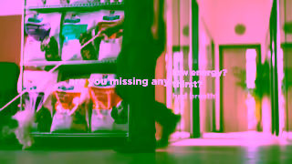 Hill's Many symptoms hide in plain sight Ad Commercial Brand Imagery Photoshoot 2