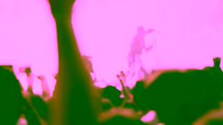 LIVE NATION DRAKE JUST ANNOUNCED Ad Commercial Brand Imagery Photoshoot 2