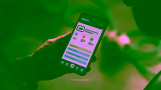 Geico Boxes GEICO Insurance Ad Commercial Brand Imagery Photoshoot 0