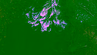 GREAT NORTHERN Long Way For A Beer Episode 1 Trailer Ad Commercial Brand Imagery Photoshoot 1