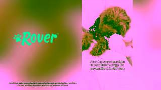 Rover.com Paid US 2025 Organic Assets Dog Boarding 30 16x9 Ad Commercial Brand Imagery Photoshoot 0