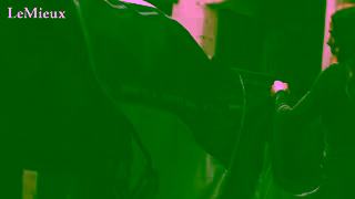 LeMieux 1 LM YT Rugs MED 15s 16x9 BC Ad Commercial Brand Imagery Photoshoot 0