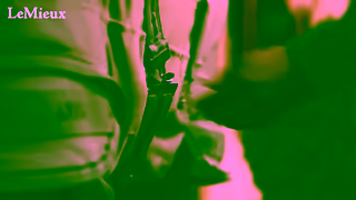 LeMieux 1 LM YT Rugs MED 15s 16x9 BC Ad Commercial Brand Imagery Photoshoot 1