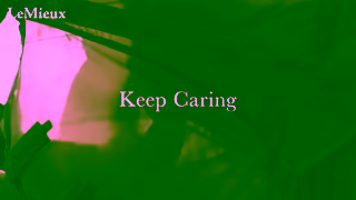 LeMieux 1 LM YT Rugs MED 15s 16x9 BC Ad Commercial Brand Imagery Photoshoot 2