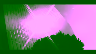 Quay Australia Quay Festival 2024 Paid Ad Commercial Brand Imagery Photoshoot 0