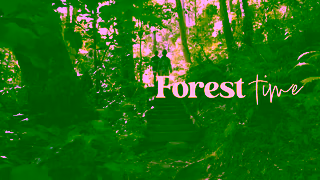 Visit Shellharbour Forest Time Shellharbour Ad Commercial Brand Imagery Photoshoot 0