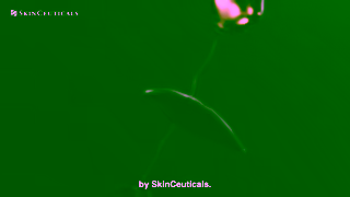 SkinCeuticals Unlock C E Ferulic Skin Ad Commercial Brand Imagery Photoshoot 0