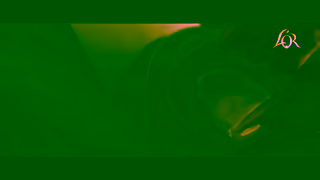 L'OR Awaken your senses with LOR Espresso Capsules Ad Commercial Brand Imagery Photoshoot 0