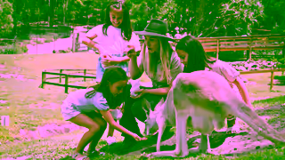 We Are Gold Coast LOVE IT BOOK IT LOVE GC Ad Commercial Brand Imagery Photoshoot 1