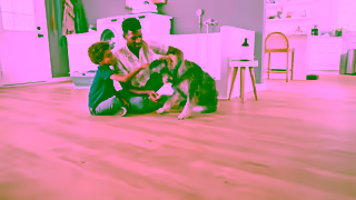 MOHAWK Flooring Stronger Than All of Lifes Elements Pergo Elements Made in the USA Ad Commercial Brand Imagery Photoshoot 2