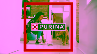 Purina Nothing Less than the Highest Quality Dog Food Ad Commercial Brand Imagery Photoshoot 0