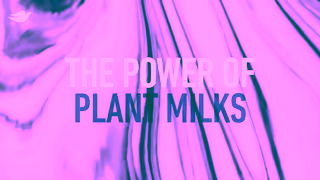 Dove NEW Dove Plant Milk Cleansing Bars The Power of Plant Milks Ad Commercial Brand Imagery Photoshoot 0