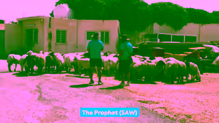 MATW Qurban Isnt Just a Sacrifice Its an Act of Obedience Ad Commercial Brand Imagery Photoshoot 0
