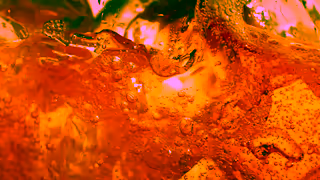 Fanta Wanta Fanta Ad Commercial Brand Imagery Photoshoot 1