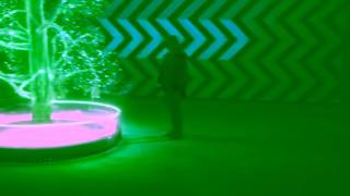 University of British Columbia Using forests to fight climate change Ad Commercial Brand Imagery Photoshoot 1