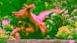 Scotts Scotts Organic Range Unleash the Power of Organics Ad Commercial Brand Imagery Photoshoot 0