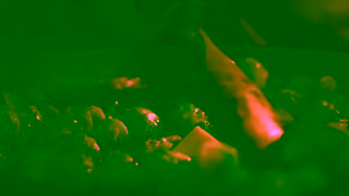 Lurpak Lurpak Christmas Video 6 seconds Ad Commercial Brand Imagery Photoshoot 1