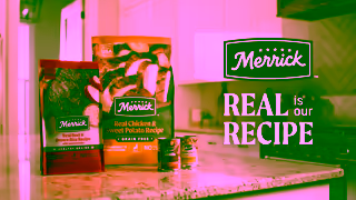 Merrick Pet Care Merrick Pet Care Ad Commercial Brand Imagery Photoshoot 2