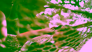 Visit Jamaica JAMAICAIts Lively and LaidBack All At Once Ad Commercial Brand Imagery Photoshoot 0