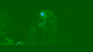 Universal Pictures Night Swim Only in theatres Friday Surface Rev Ad Commercial Brand Imagery Photoshoot 2