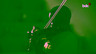 BDC Bank BDC Accelerate your growth Ad Commercial Brand Imagery Photoshoot 2