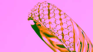 David Yurman Video Ad Ad Commercial Brand Imagery Photoshoot 1