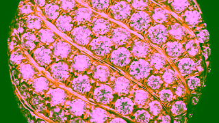 David Yurman Video Ad Ad Commercial Brand Imagery Photoshoot 2