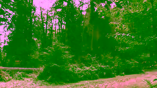 BNP Paribas The Ripple Effect Episode 4 The forest that dreams of space Trailer Ad Commercial Brand Imagery Photoshoot 1