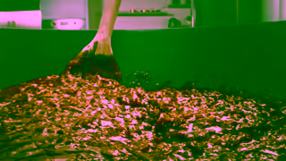 Australian Beef Youre Thinking Beef Bolognese Ad Commercial Brand Imagery Photoshoot 0