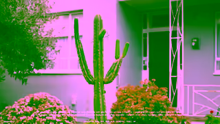 Specsavers SALE 50 off all lens options Offer ends June 30 Ad Commercial Brand Imagery Photoshoot 0