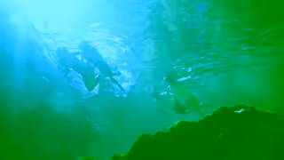 Visit Florida The best family vacations happen in Florida Ad Commercial Brand Imagery Photoshoot 1