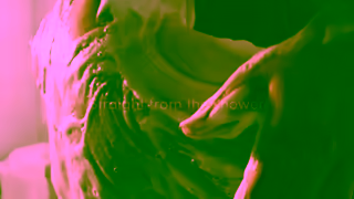 Dove Dove Body Wash Hypoallergenic Care Ad Commercial Brand Imagery Photoshoot 0