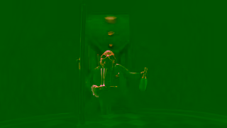 NFB Canada 007 ANIM2025 YT 30SEC EN 16x9 Ad Commercial Brand Imagery Photoshoot 0