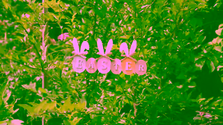 Bed Bath N Table Bed Bath N Table Easter 25 Once Upon an Easter Ad Commercial Brand Imagery Photoshoot 1