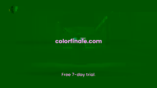 Color Finale Color Finale 2 professional color grading plugin for Final Cut Pro Ad Commercial Brand Imagery Photoshoot 2