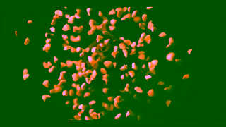 Ferrero Rocher Celebrate the moment with Ferrero Rocher Ad Commercial Brand Imagery Photoshoot 1