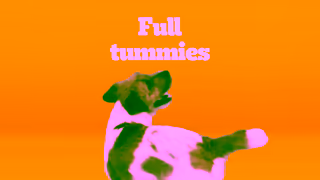 Pedigree PEDIGREE Love at First Sight Ad Commercial Brand Imagery Photoshoot 0